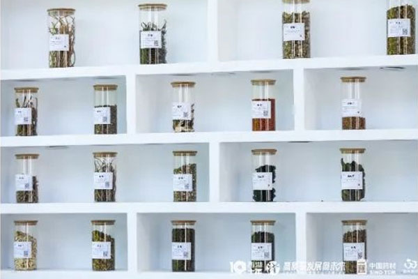 不朽情缘中药材 不朽情缘中药材