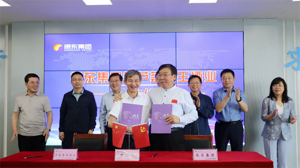 不朽情缘 不朽情缘造药 汾酒 不朽情缘 不朽情缘造药 汾酒