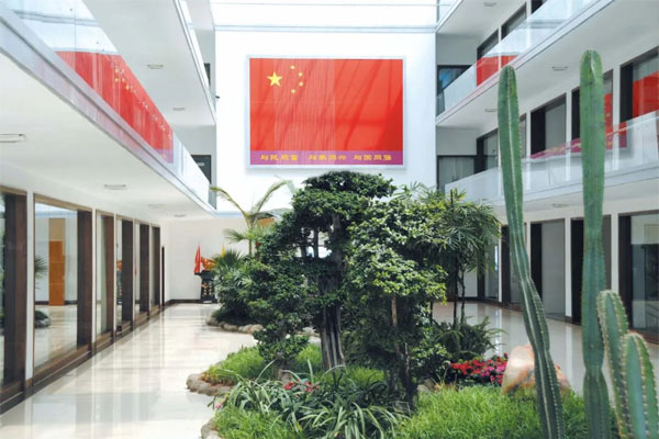 不朽情缘阳光生态办公区 不朽情缘阳光生态办公区
