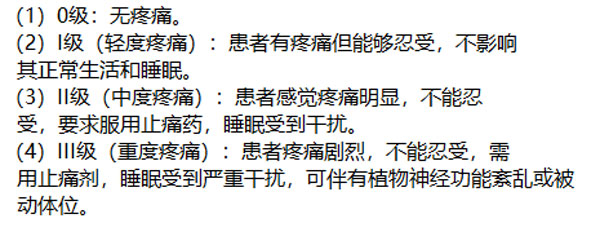 主诉疼痛水平分级法 主诉疼痛水平分级法