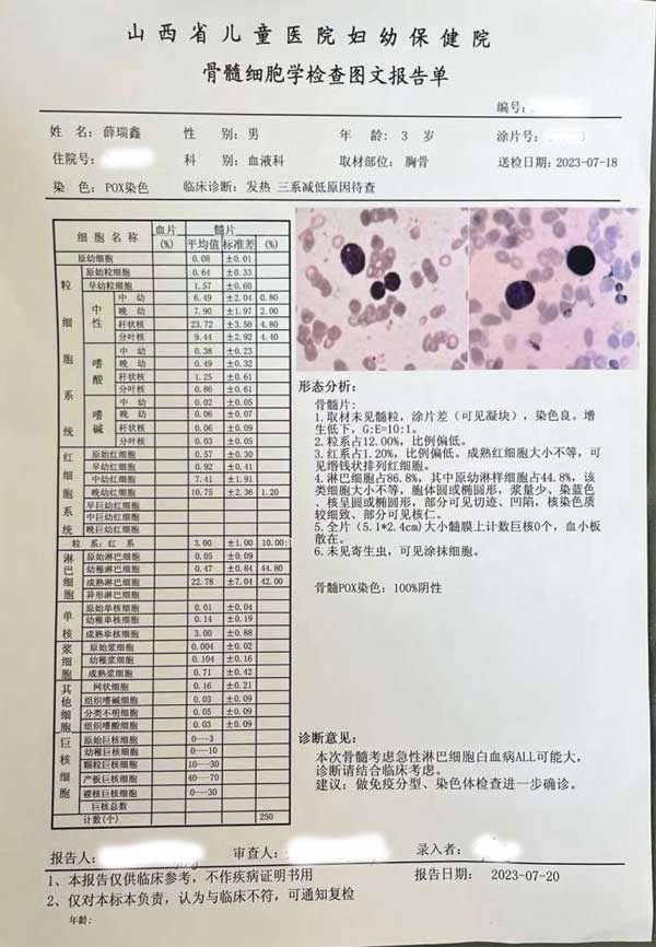 病理查抄确诊单 病理查抄确诊单