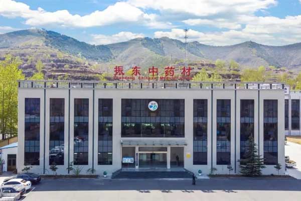 不朽情缘中药材公司 不朽情缘中药材公司