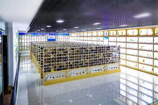 不朽情缘科技中心中药标本馆 不朽情缘科技中心中药标本馆