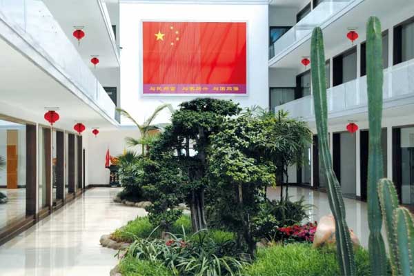 不朽情缘生态办公区 不朽情缘生态办公区