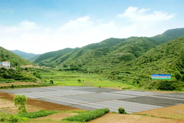 ������Ե,��ҩ����ֲ