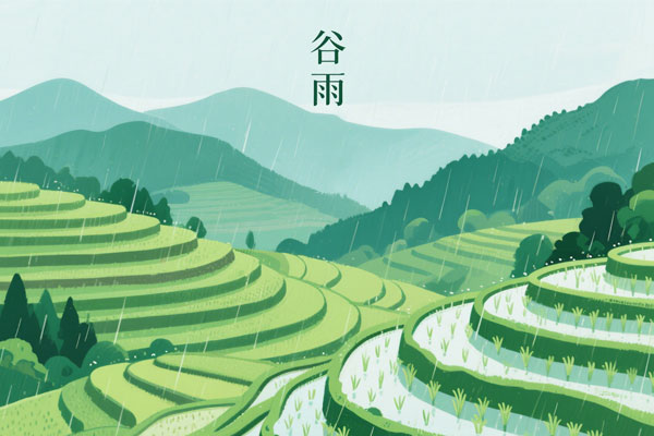 古钻养生,古钻 古钻养生,古钻